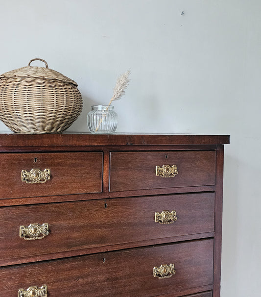 The Scalloped Victorian Mahogany Chest of Drawers