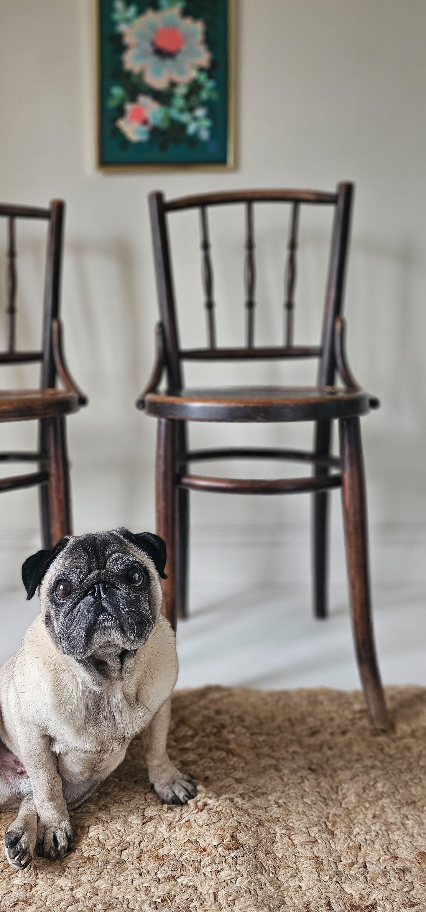 The Bentwoods Bistro Pair of Chairs