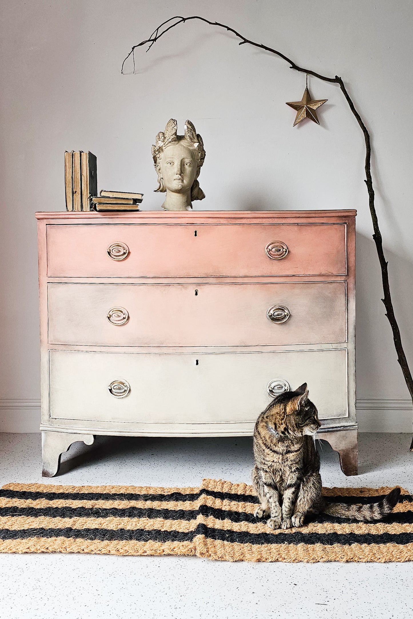 The Coral Ombre Chest of Drawers